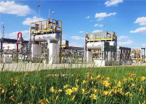 守護毛烏素的碧水藍天 長慶油田采氣三廠環(huán)保效益開發(fā)始終在路上