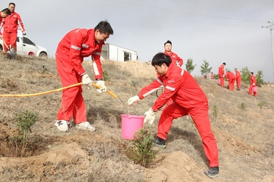 長慶油田采油七廠 企地共建“同心林”，科技賦能綠色發展